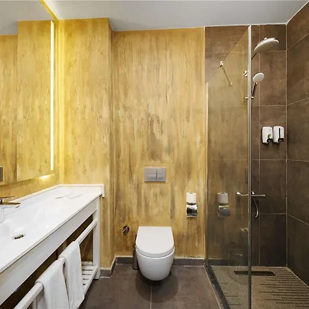 Ibis Airport מלון *