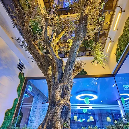 Ibis Airport イスタンブール