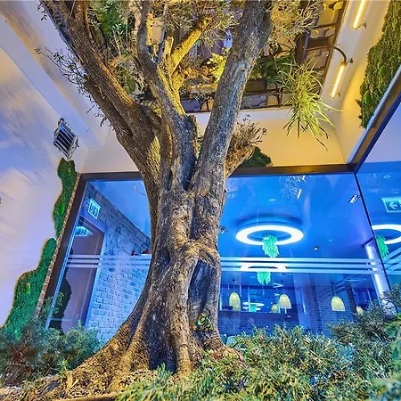 Ibis Airport Istanboel